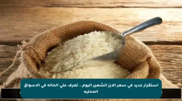 استقرار جديد في سعر الأرز الشعير اليوم.. تعرف على الحالة في الأسواق المحلية